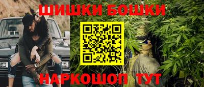 винт Сланцы