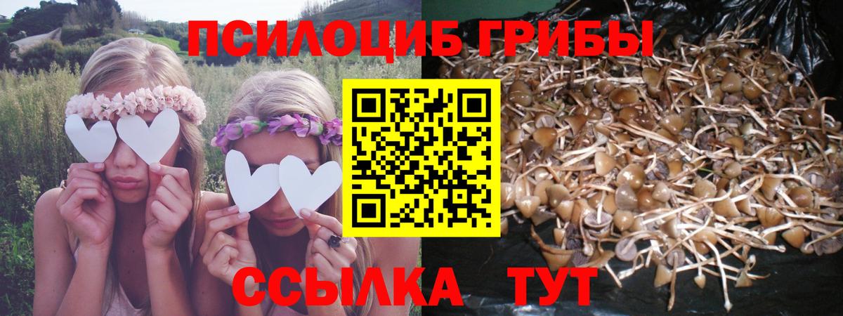 Галлюциногенные грибы Cubensis  дарнет шоп  Псилоцибиновые грибы Psilocybine cubensis  Норильск  Вход с VPN 